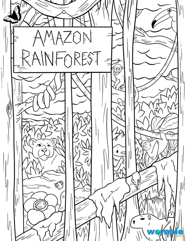 rainforest plants coloring pages
