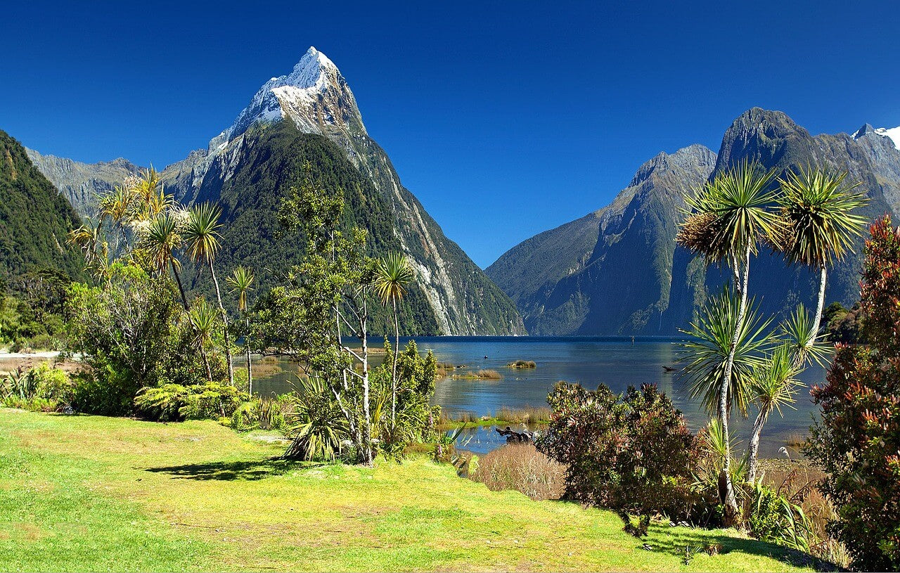 The Beauty of New Zealand
